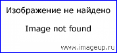 Скриншот приложения vk-lite - №1