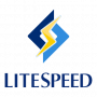 Скачать LiteSpeed Web Server Standard