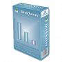 Скачать Disk Savvy