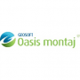 Скачать Oasis montaj