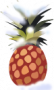 Скачать Ananas