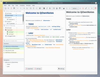 Скриншот приложения QOwnNotes для Linux - №4