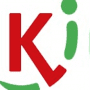 Скачать Kickidler
