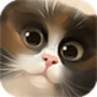 Скачать Cat in the Box Lite