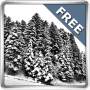 Скачать Снегопад 360° Free