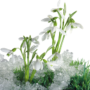 Скачать Spring