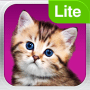 Скачать Мои питомцы. Кошки Lite