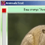 Скачать AnimalsTest