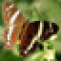 Скачать Altarsoft Photo Editor