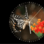 Скачать Photo Clock-7