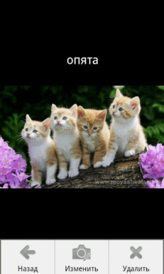Скриншот приложения Моя Школа - №1