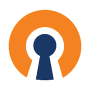Скачать OpenVPN Connect