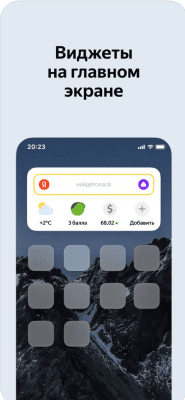 Скриншот приложения Яндекс Браузер для iPhone - №6