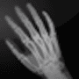 Скачать Lim DICOM Viewer