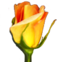 Скачать Rosegarden