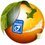 Скачать BannerZest Pro
