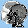 Скачать DICOM Viewer