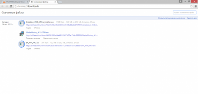 Скриншот приложения Google Chrome Windows - №3