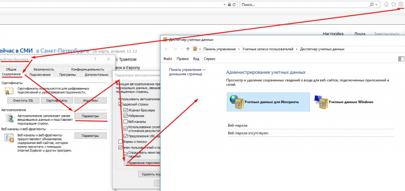 где в internet explorer хранятся пароли