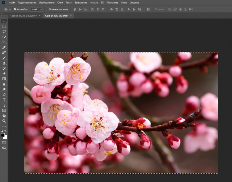как в photoshop вставить картинку в картинку