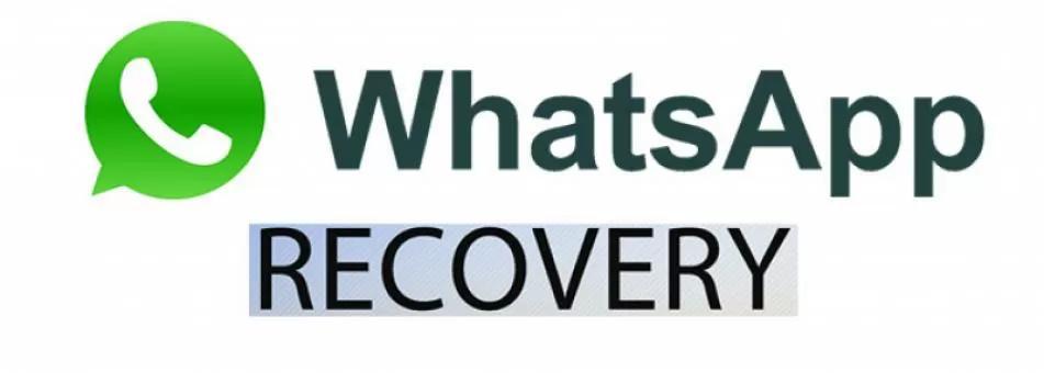 WhatsApp - как восстановить сообщения и переписку